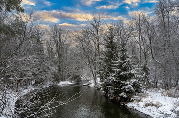 river in winter forest