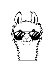 Cool Sonnenbrille Alpaka 