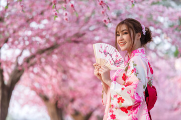 woman in yukata (kimono dress) holding folding fan and looking sakura flower or cherry blossom...