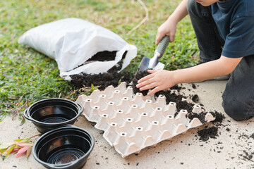 Asian boy puts soil to the egg carton tray