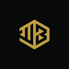 Initial letter WB hexagon logo design vector