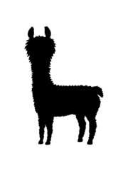 Cool Silhouette Alpaka  © Style-o-Mat-Design