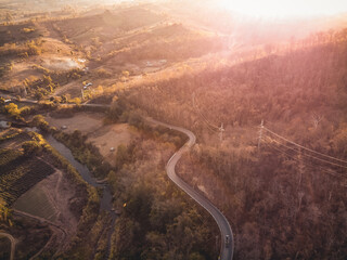 The road and trees in the evening from above,summer travel