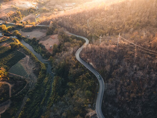 The road and trees in the evening from above,summer travel