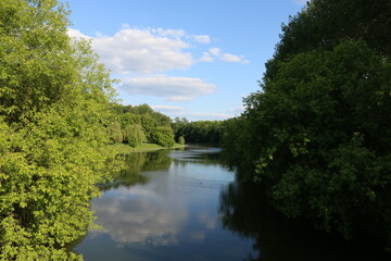 river in the park, summer