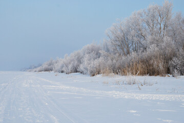 Winter fog in the vicinity of Omsk, Siberia Russia