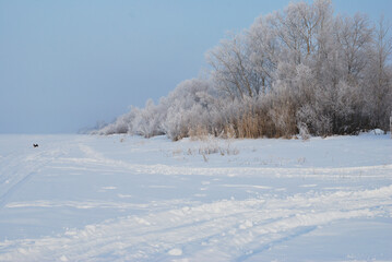 Winter fog in the vicinity of Omsk, Siberia Russia