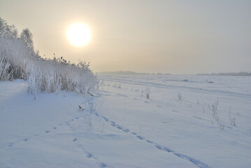 Winter fog in the vicinity of Omsk, Siberia Russia