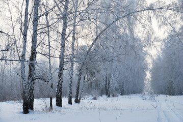 Winter fog in the vicinity of Omsk, Siberia Russia