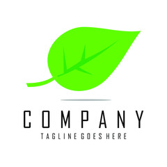 green leaf logo design vector