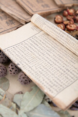 Obraz premium A pile of herbs and an open medicine book