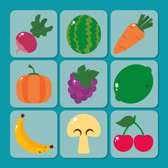 healthy fruits icon set, colorful design