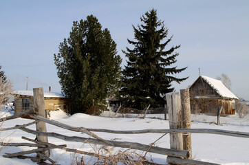 winter village landscape with old fence and firs. old village house