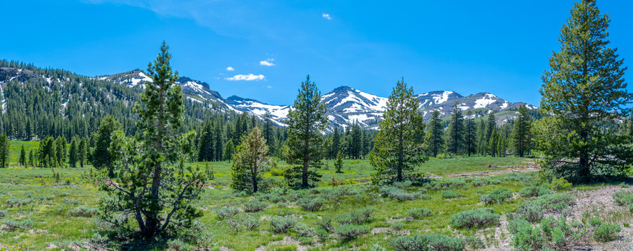 Beautiful Panorama Of Sierra Nevada Mountains With Pine Trees