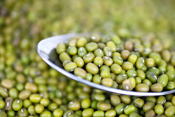 Close up of mung bean