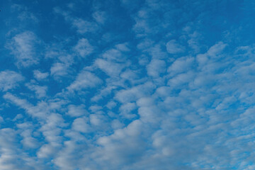 texture background of fluffy shaped clouds on blue sky