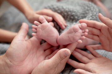 Close-up of newborn legs in woman hands