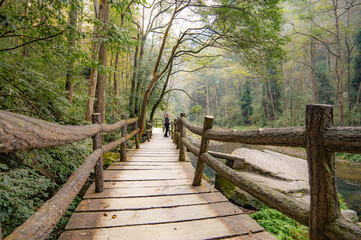 Walk way in Zhangjiajie in China, Hunan Province with a woman standing on a wakway between rain forest canopy in wilderness area. 