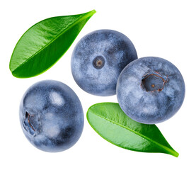 Organic fresh blueberry isolated on white