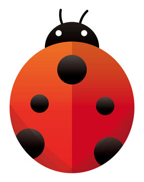 747 Best てんとうむし Images Stock Photos Vectors Adobe Stock
