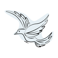 Flying bird, line drawing, abstract vector illustration, template, flat design.