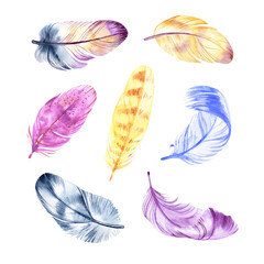 Watercolor feathers collection. Hand drawn artistic multicolor feather set isolated on white background. Seven various bird feathers, raster illustrations