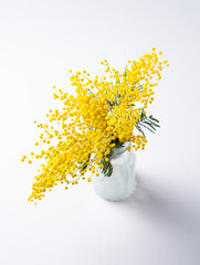 a bouquet of yellow mimosa flowers stands in a glass  vase on a white  background. concept of 8 March, happy women's day