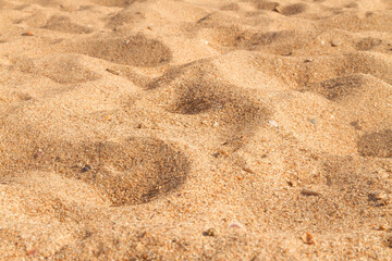 The sand on the beach of the Black sea yellow