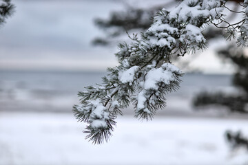 Beautiful winter nature. Latvia, Ainazi. neer STOP bar.