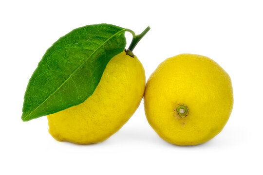 Two whole yellow lemons with green leaf isolated on white background. 