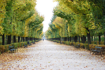 Ein Herbstspaziergang im Schlosspark Schönbrunn - obrazy, fototapety, plakaty