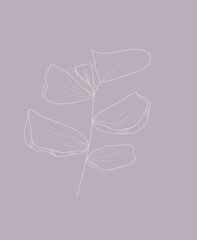 Beautiful delicate plant in the style of minimalism