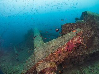 Naklejka na ściany i meble Collapsed main mast in a shipwreck (Thistlegorm, Red Sea, Sharm El Sheikh, Egypt)