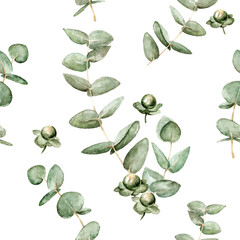 floral pattern with leaves of eucalyptus and berries hypericum 1