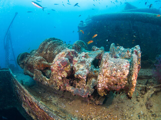Capstans of hold in a shipwreck (Thistlegorm, Red Sea, Sharm El Sheikh, Egypt)