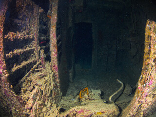 Cabin in a shipwreck (Thistlegorm, Red Sea, Sharm El Sheikh, Egypt)