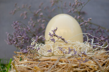 In a nest of hay lies a large fresh ostrich egg, decorated with purple flowers. Easter theme, holiday. Happy easter card with copy space for text in minimal easter style