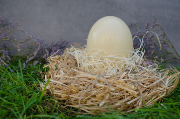 In a nest of hay lies a large fresh ostrich egg, decorated with purple flowers. Easter theme, holiday. Happy easter card with copy space for text in minimal easter style