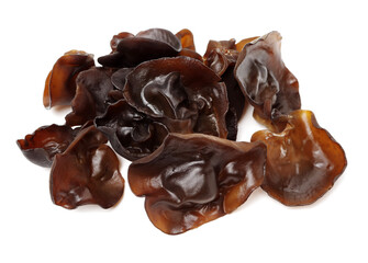 black fungus on white background 