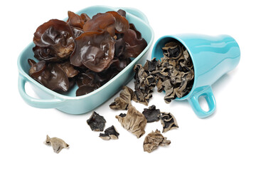 black fungus on white background 