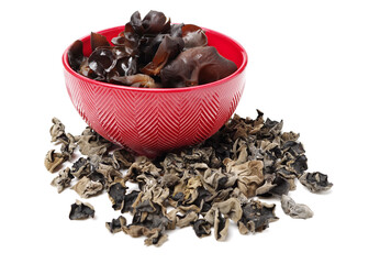 black fungus on white background 