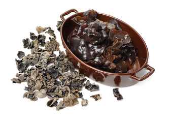 black fungus on white background 