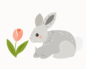Rabbit in the spring near the tulip