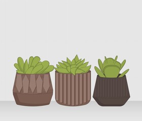 Collection of green Houseplant exotic. floral design, paradise nature. Set of beautiful natural home decorations. Flat Design vector illustration