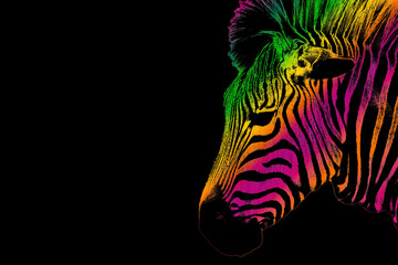 Illustration of a Zebra head looking to the side with colourful rainbow stripes effect against a black background.