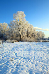 winter landscape in park