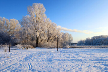 winter landscape in park