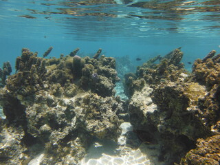 Island