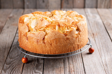 Fresh sponge cake. Chiffon biscuit for cake, selective focus