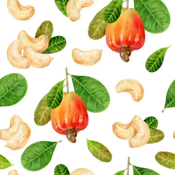 Watercolor seamless pattern cashew isolated on a white background.